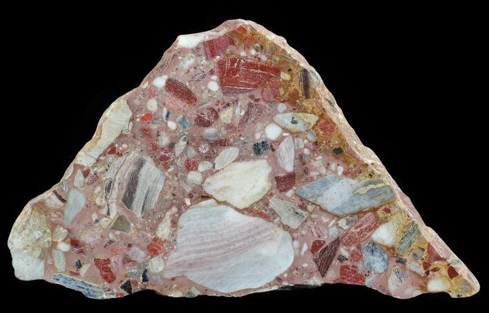 Polished Brecciated Chert Section - Australia #65437